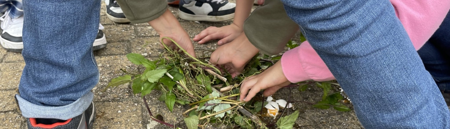 Erlebnispädagogische Tage der Fünftklässler