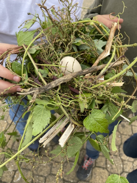 Erlebnispädagogische Tage der Fünftklässler