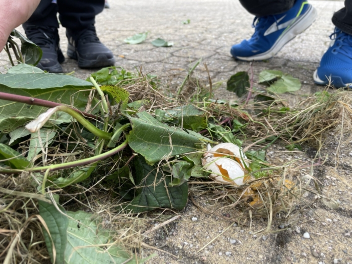 Erlebnispädagogische Tage der Fünftklässler