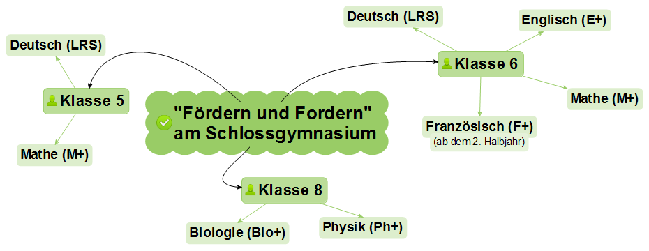 Fördern und Fordern am Schlossgymnasium
