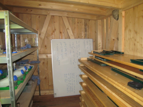 Grünes Klassenzimmer (von innen)