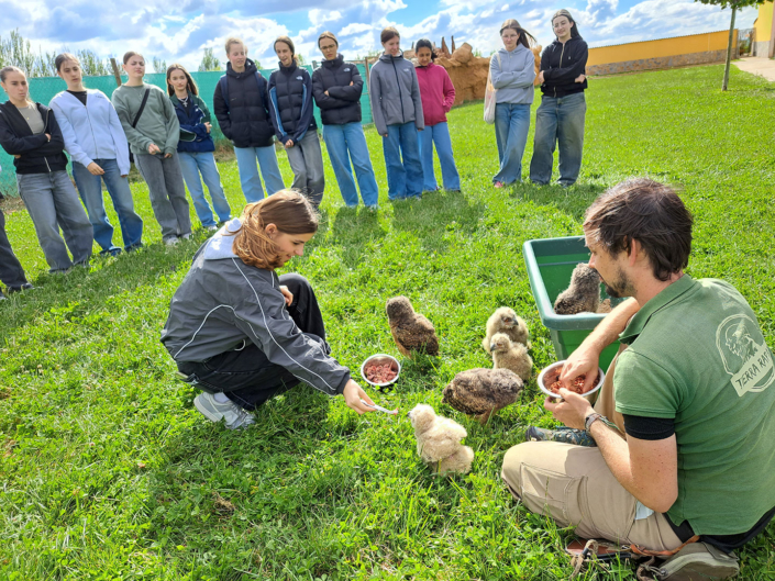 Nachwuchs in Tierra Rapaz
