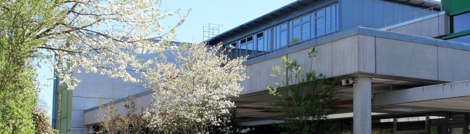 Schlossgymnasium Kirchheim