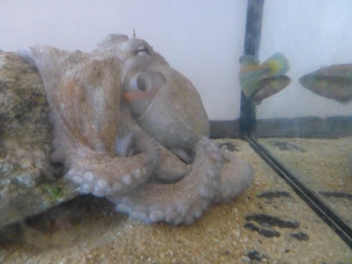 Studienfahrt Cap Roig