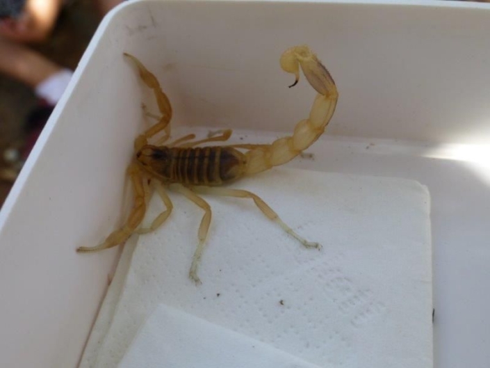 Studienfahrt Cap Roig