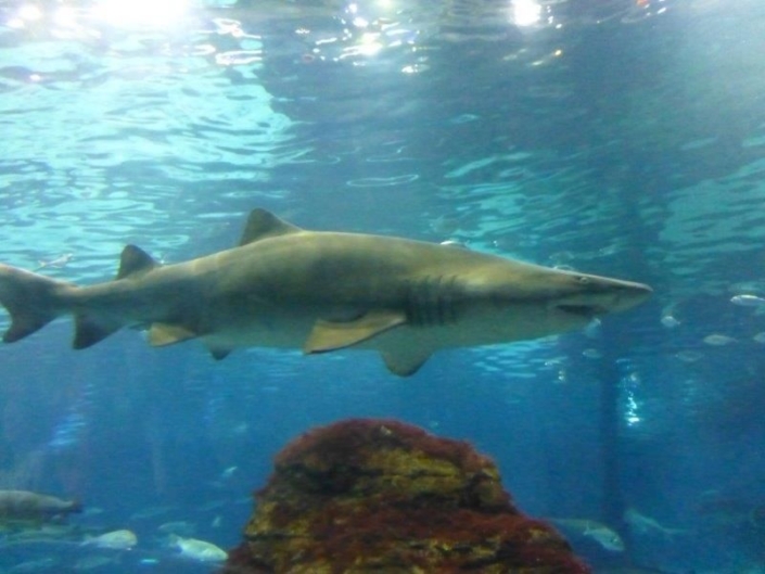 Studienfahrt Cap Roig