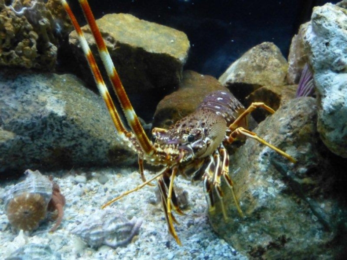 Studienfahrt Cap Roig