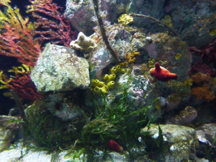 Studienfahrt Cap Roig