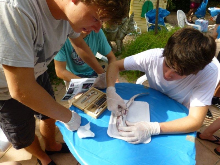 Studienfahrt Cap Roig