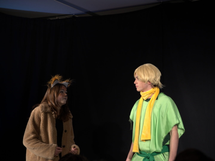 Theaterabend Der kleine Prinz