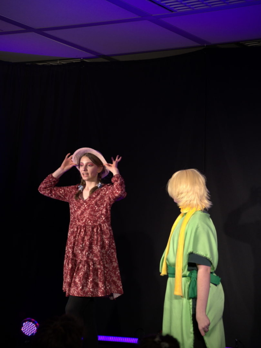 Theaterabend Der kleine Prinz