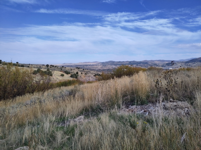 USA Schüleraustausch 2023