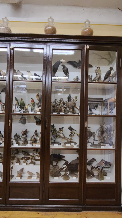 Ungarnaustausch 2023