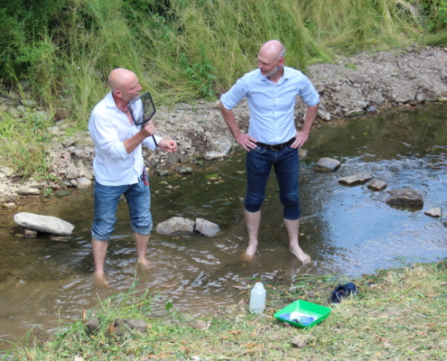 Unser Schulhof wird schöner und grüner