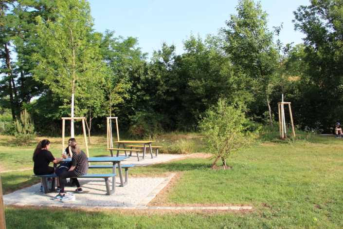 Unser Schulhof wird schöner und grüner