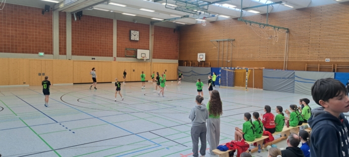 Handball RB-Finale (5)