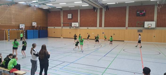 Handball RB-Finale (7)