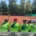 U16_2